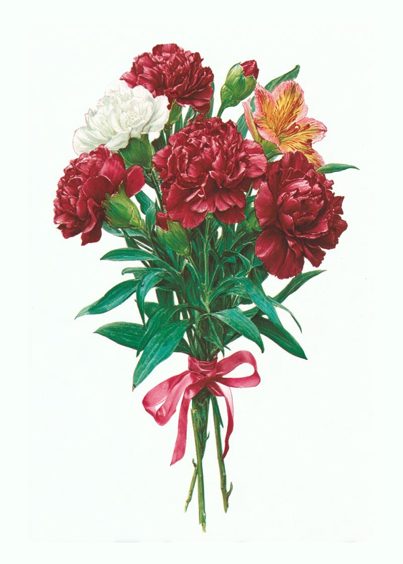 Charming Carnations Bouquet Card