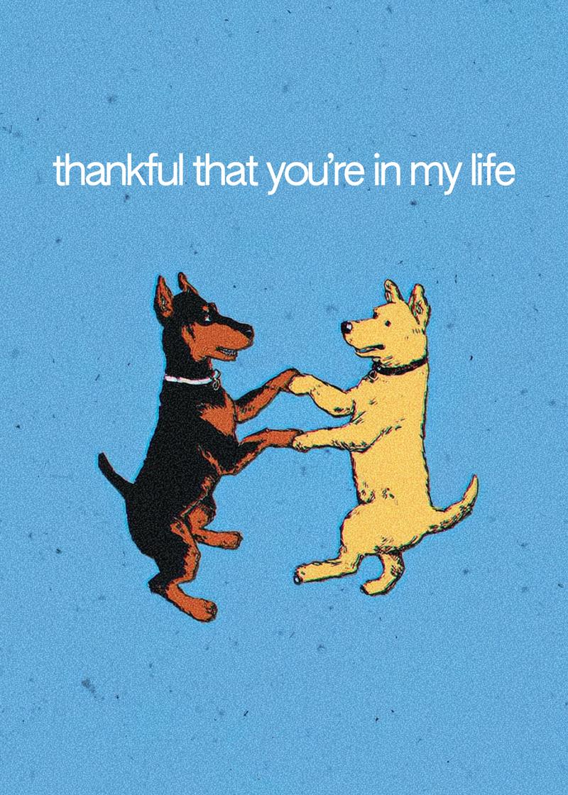 Paws to Heart: Thankful Moments