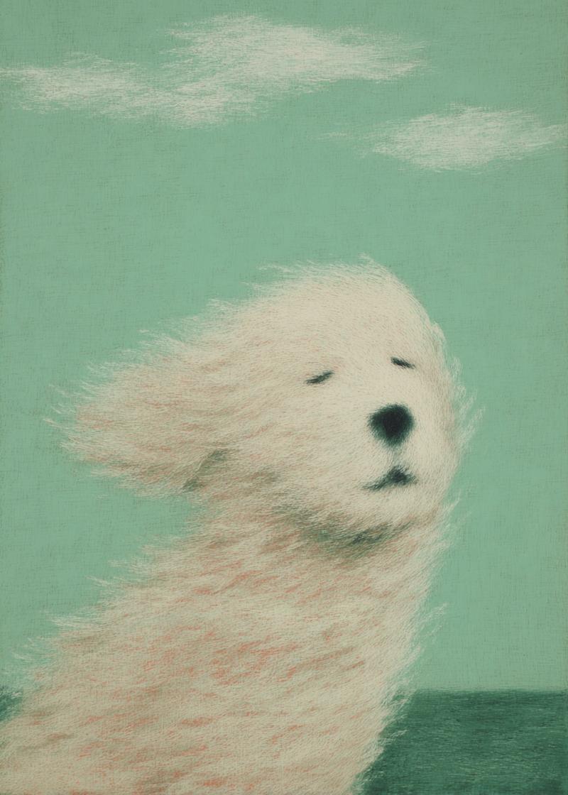 fluffy white dog in wind | Escargot